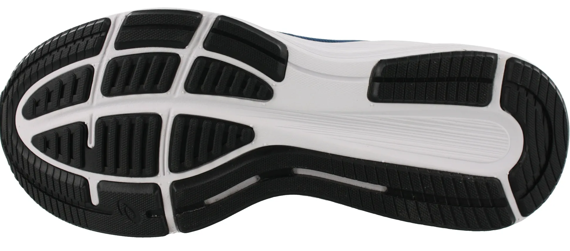 ASICS Men Walking Cushioned Running Shoes Roadhawk FF